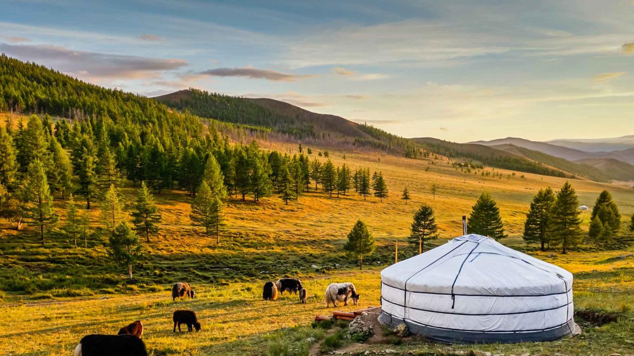 Destinasi Wisata Menarik di Mongolia