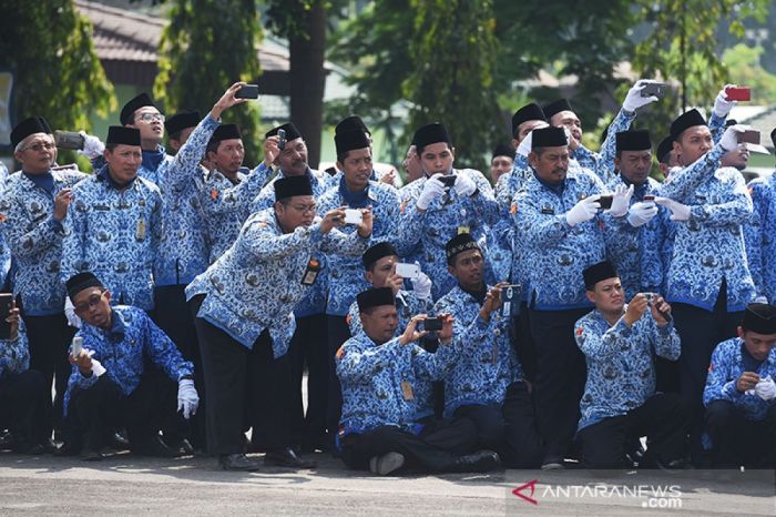 CHUTOGEL - Pengumuman Seleksi Administrasi PPPK 2024 Berdasarkan Kategori