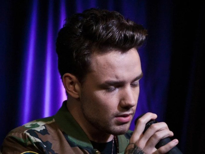 CHUTOGEL Liam Payne di platform streaming