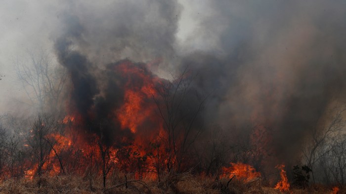 Kebakaran hebat melahap hutan di bolivia