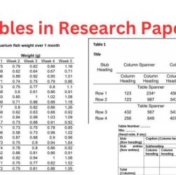 CHUTOGEL Data Pemilu Pages Dev untuk Akademisi dan Peneliti